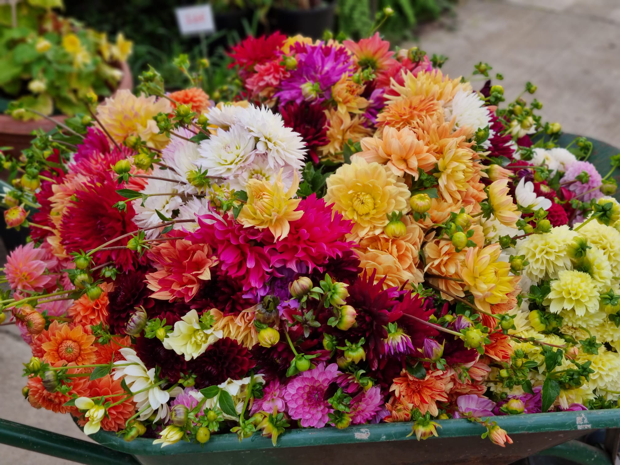 Fleuriste mariage et deuil