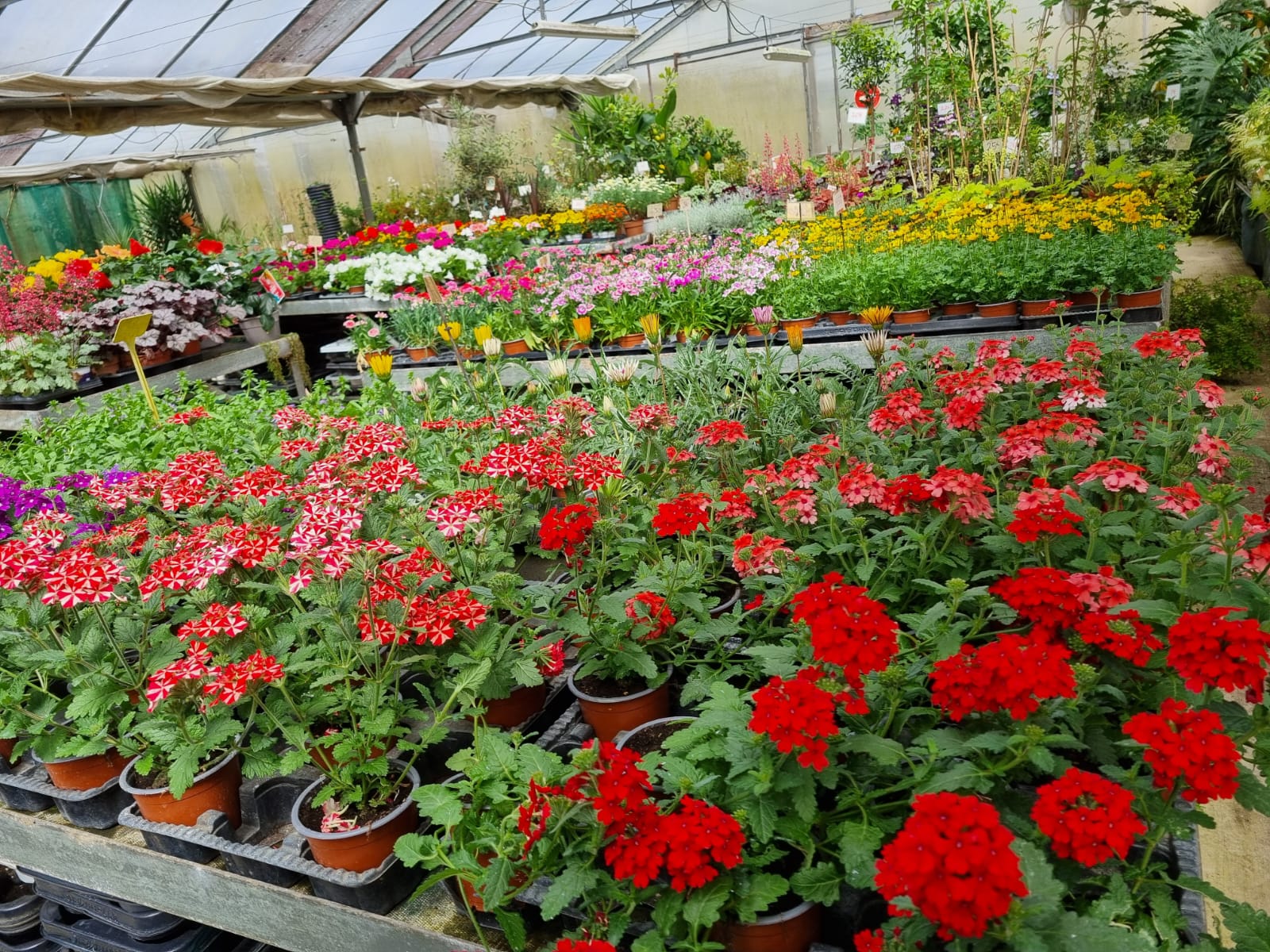 Horticulteur